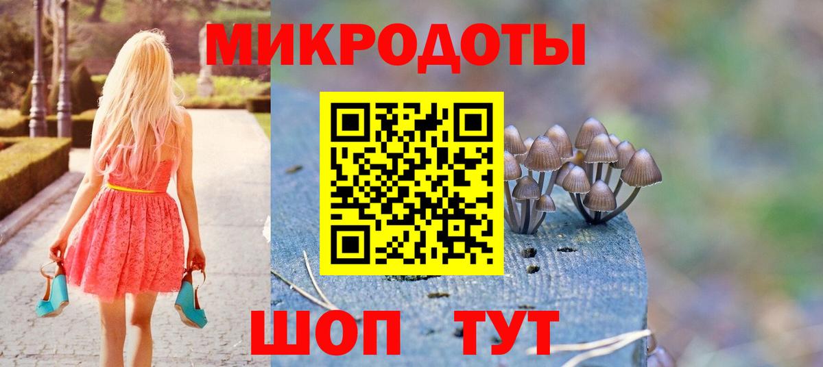 Галлюциногенные грибы Psilocybine cubensis Сарапул